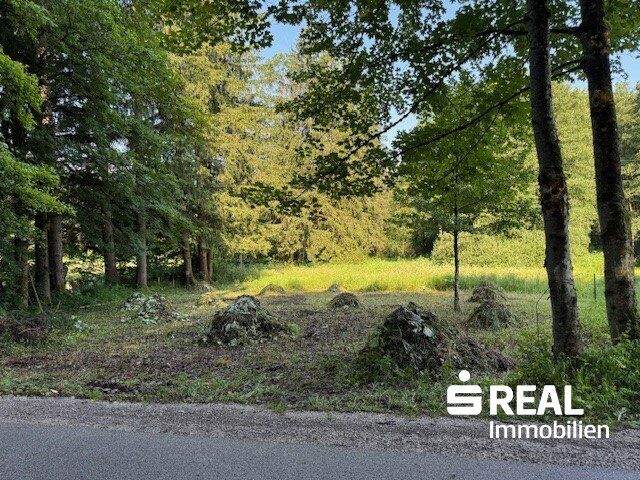  Land in Rossleithen, Austria No. 145878