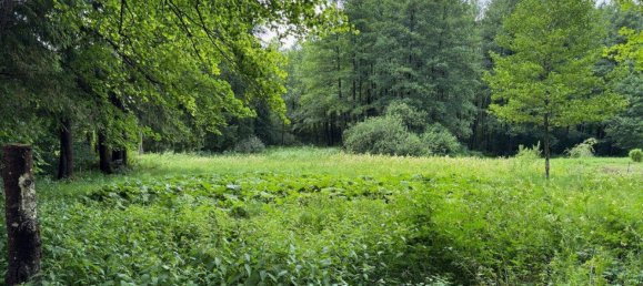  Land in Rossleithen, Austria No. 145878 2