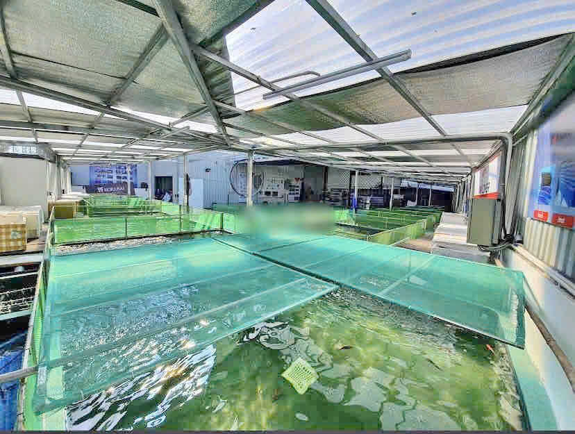 525.6m² Land in District 7, Vietnam No. 20301