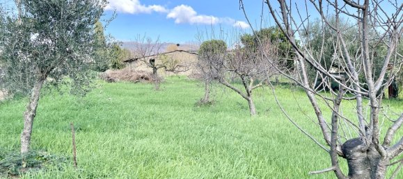 Terrain à Velletri, Italy 70m² No. 207293 10