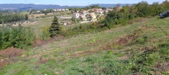 Terreno de 5 divisões em Guardistallo, Italy N.º 175416 3