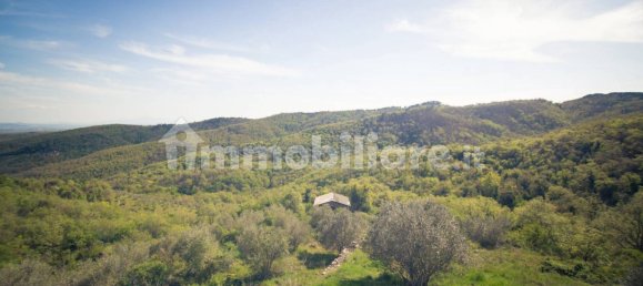 4 bedrooms Villa in Castelnuovo Berardenga, Italy No. 57612 18