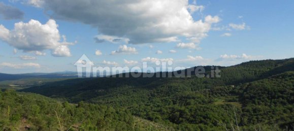 4 bedrooms Villa in Castelnuovo Berardenga, Italy No. 57612 3