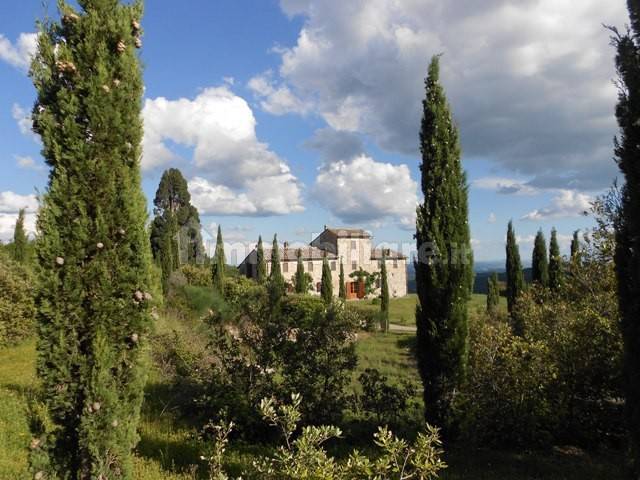 4 bedrooms Villa in Castelnuovo Berardenga, Italy No. 57612
