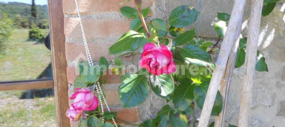 4 bedrooms Villa in Castelnuovo Berardenga, Italy No. 57612 29