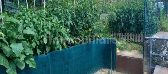 7 bedrooms Villa in Montesilvano, Italy No. 93059 6