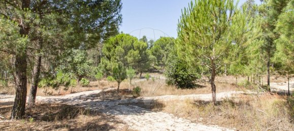 1 bedroom House in Coruche, Portugal No. 176814 11