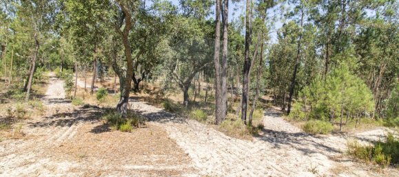 1 bedroom House in Coruche, Portugal No. 176814 26