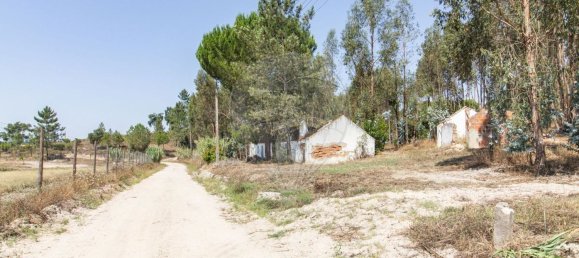 1 bedroom House in Coruche, Portugal No. 176814 24