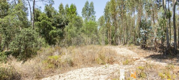 1 bedroom House in Coruche, Portugal No. 176814 27