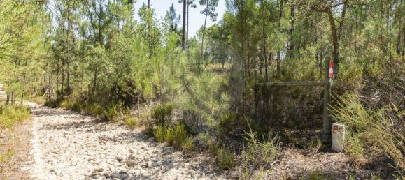 1 bedroom House in Coruche, Portugal No. 176814 5