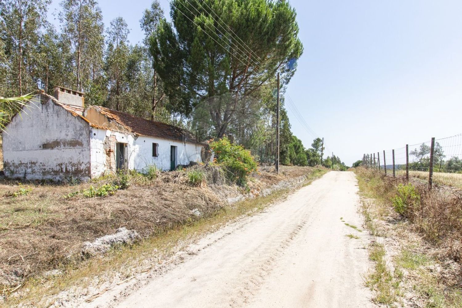 1 bedroom House in Coruche, Portugal No. 176814