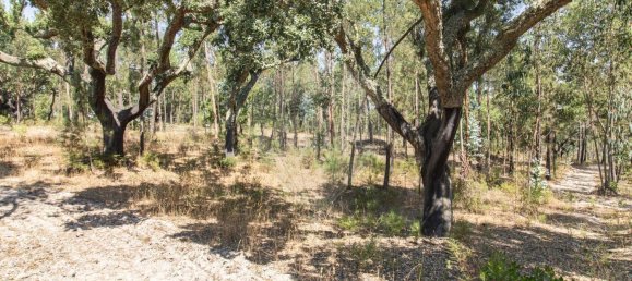 1 bedroom House in Coruche, Portugal No. 176814 4