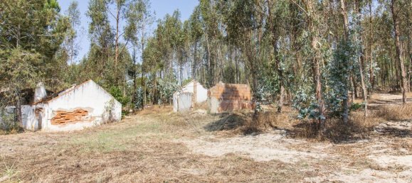 1 bedroom House in Coruche, Portugal No. 176814 23