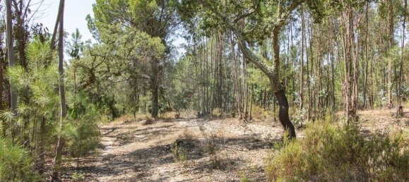 1 bedroom House in Coruche, Portugal No. 176814 6