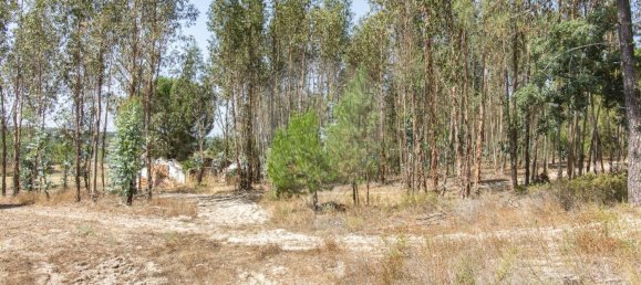 1 bedroom House in Coruche, Portugal No. 176814 10