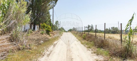 1 bedroom House in Coruche, Portugal No. 176814 18