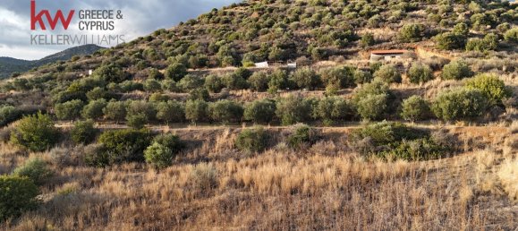 Terra em Pano Lefkara, Cyprus 8696 m² N.º 181227 4
