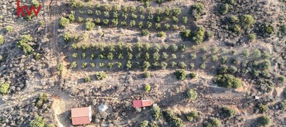 Terra em Pano Lefkara, Cyprus 8696 m² N.º 181227 5