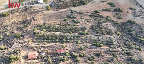Terra em Pano Lefkara, Cyprus 8696 m² N.º 181227 6