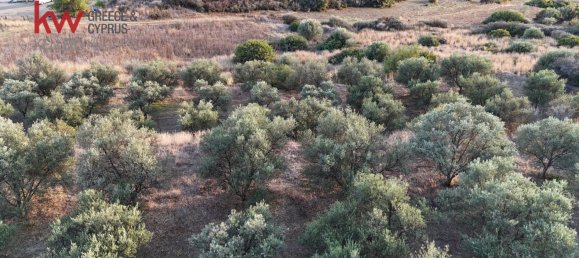 Terra em Pano Lefkara, Cyprus 8696 m² N.º 181227 8