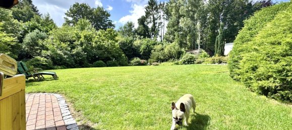 5 Schlafzimmer Stadthaus in Diepholz, Germany, Nr. 223668 2