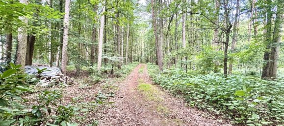 5 Schlafzimmer Stadthaus in Diepholz, Germany, Nr. 223668 17