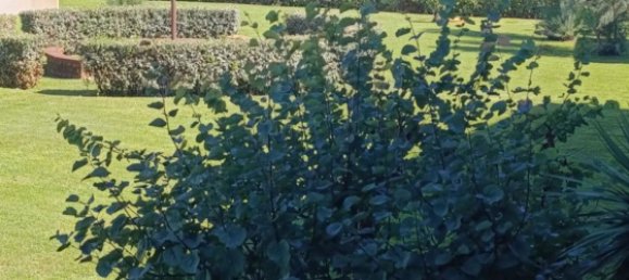 Квартира с 3 спальнями в Сильви, Италия № 337242 19