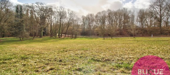  Land in Haudonville, France No. 91346 6