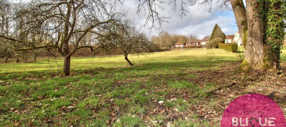  Land in Haudonville, France No. 91346 4