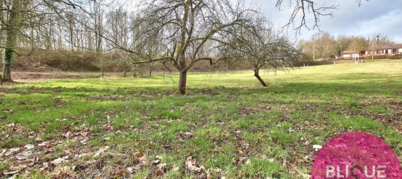  Land in Haudonville, France No. 91346 7