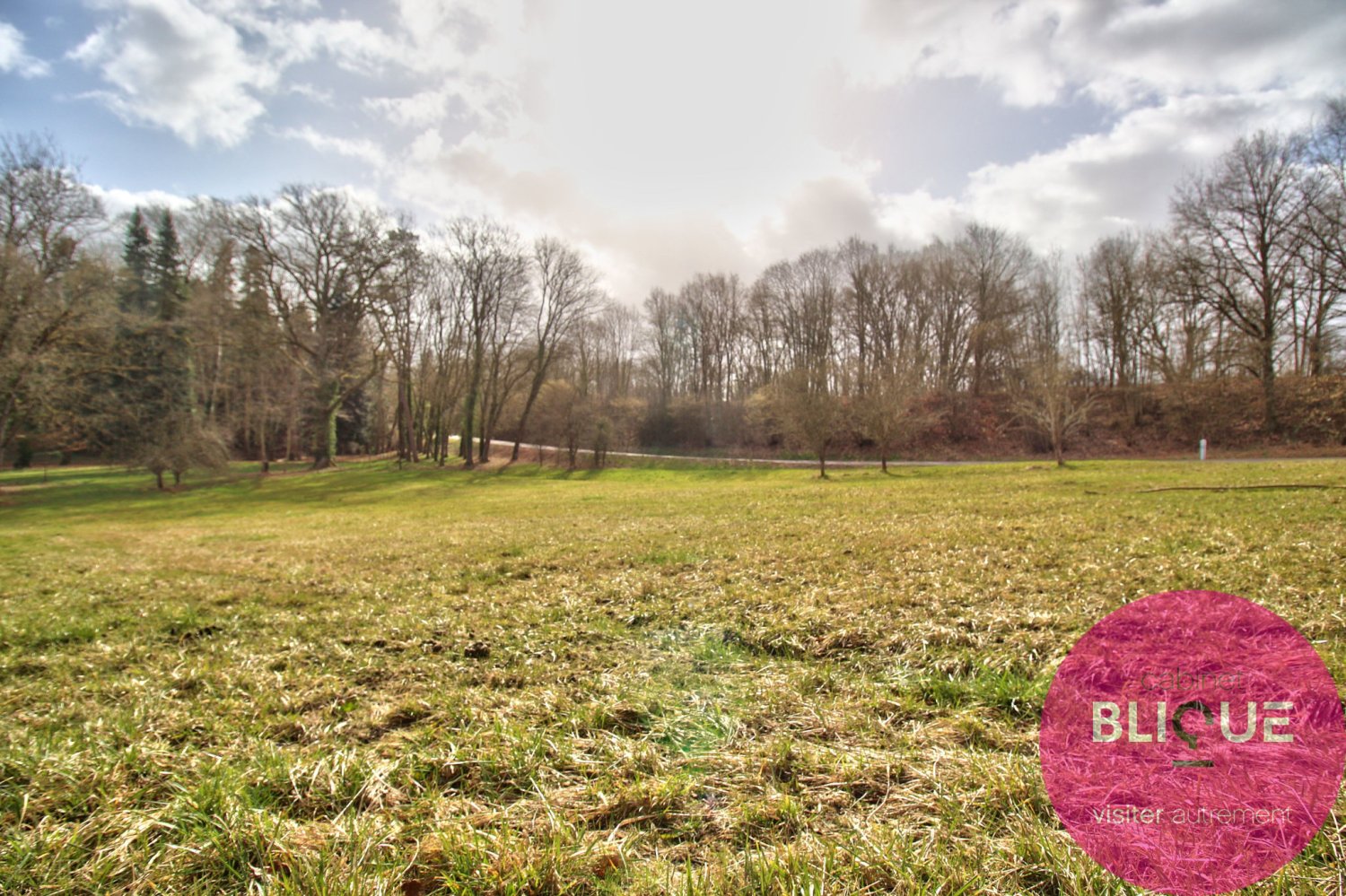  Land in Haudonville, France No. 91346