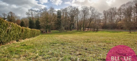  Land in Haudonville, France No. 91346 5