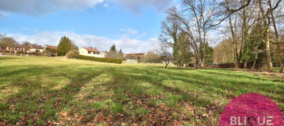  Land in Haudonville, France No. 91346 3