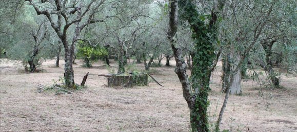 Hotel em Corfu, Greece 28000 m² N.º 7669 6