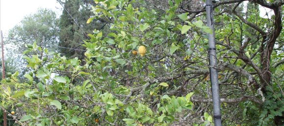 Hotel em Corfu, Greece 28000 m² N.º 7669 4