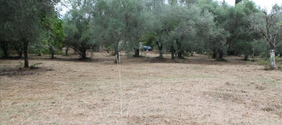 Hotel em Corfu, Greece 28000 m² N.º 7669 8