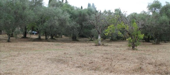 فندق في Corfu, Greece 28000متر مربع رقم 7669 7