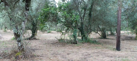 فندق في Corfu, Greece 28000متر مربع رقم 7669 5