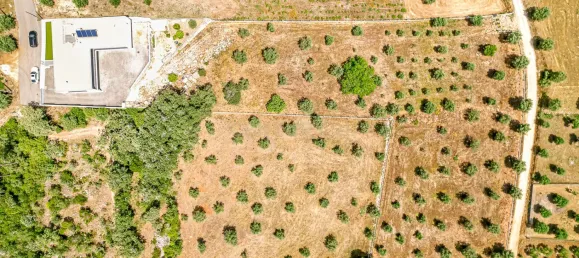 4 bedrooms Villa in Santa Catarina da Serra, Portugal No. 143246 2