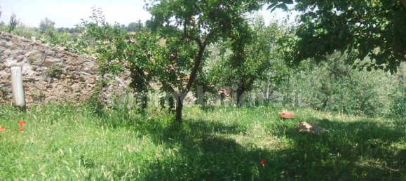 2 Schlafzimmer Wohnung in Magliano in Toscana, Italy, Nr. 72333 3