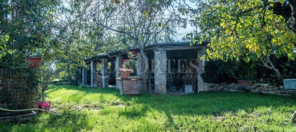 5 bedrooms Villa in San Giustino, Italy No. 267174 37