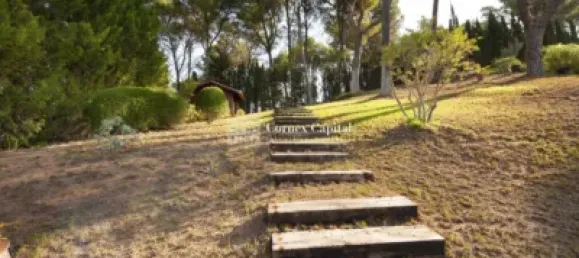 5 Schlafzimmer Haus in Palafrugell, Spain, Nr. 77841 44