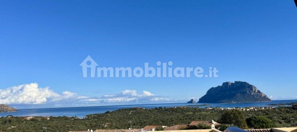 1 bedroom House in Loiri Porto San Paolo, Italy No. 77676 3