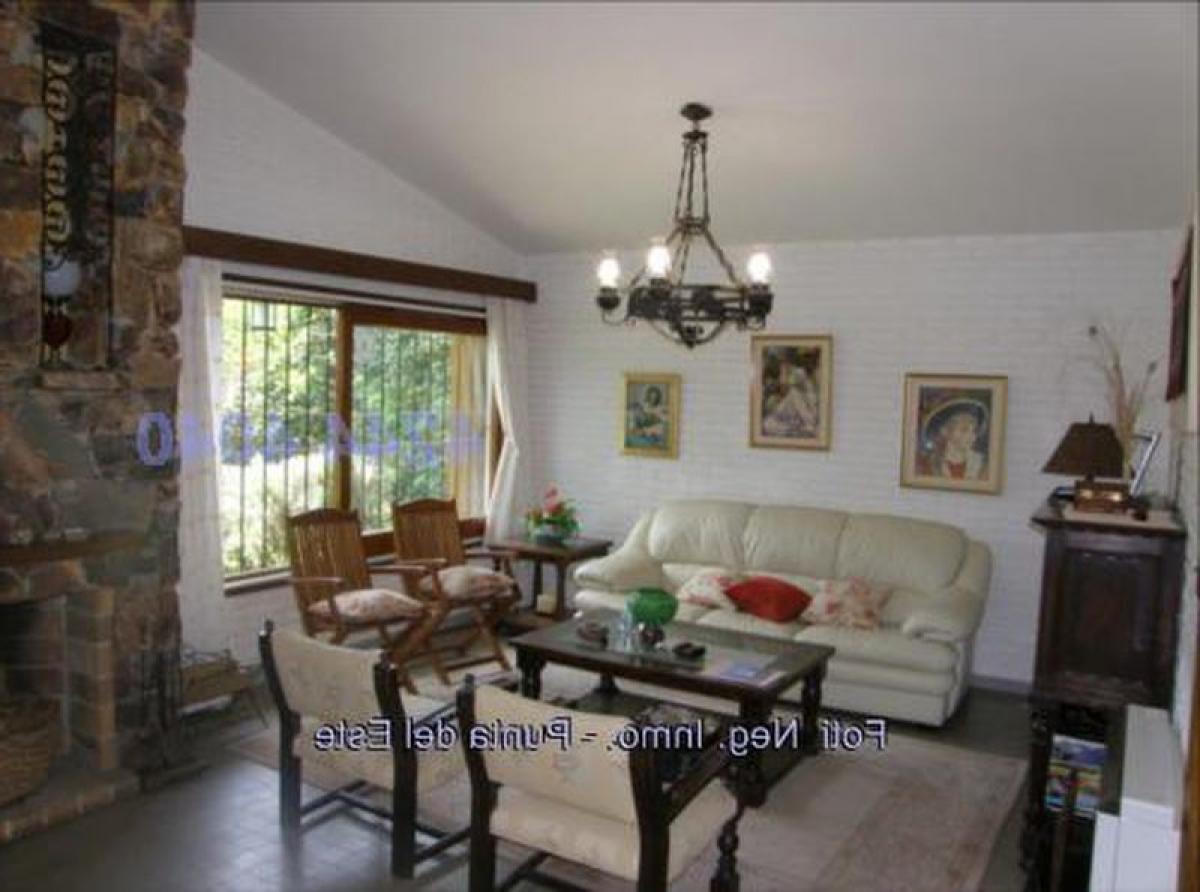 3 Schlafzimmer Haus in Punta del Este, Uruguay, Nr. 7089