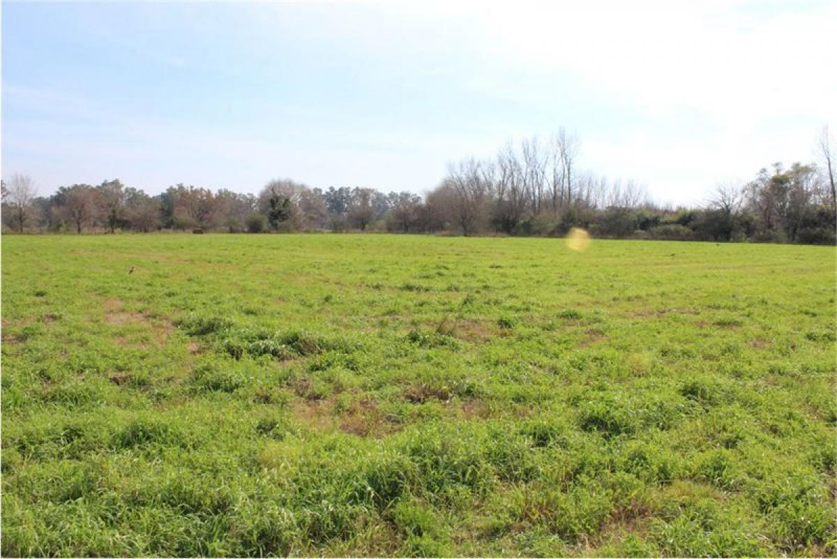 Grundstück in Pilar, Argentina, Nr. 32042