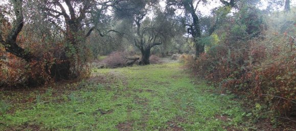 4000m² Hotel in Corfu, Greece No. 5373 3