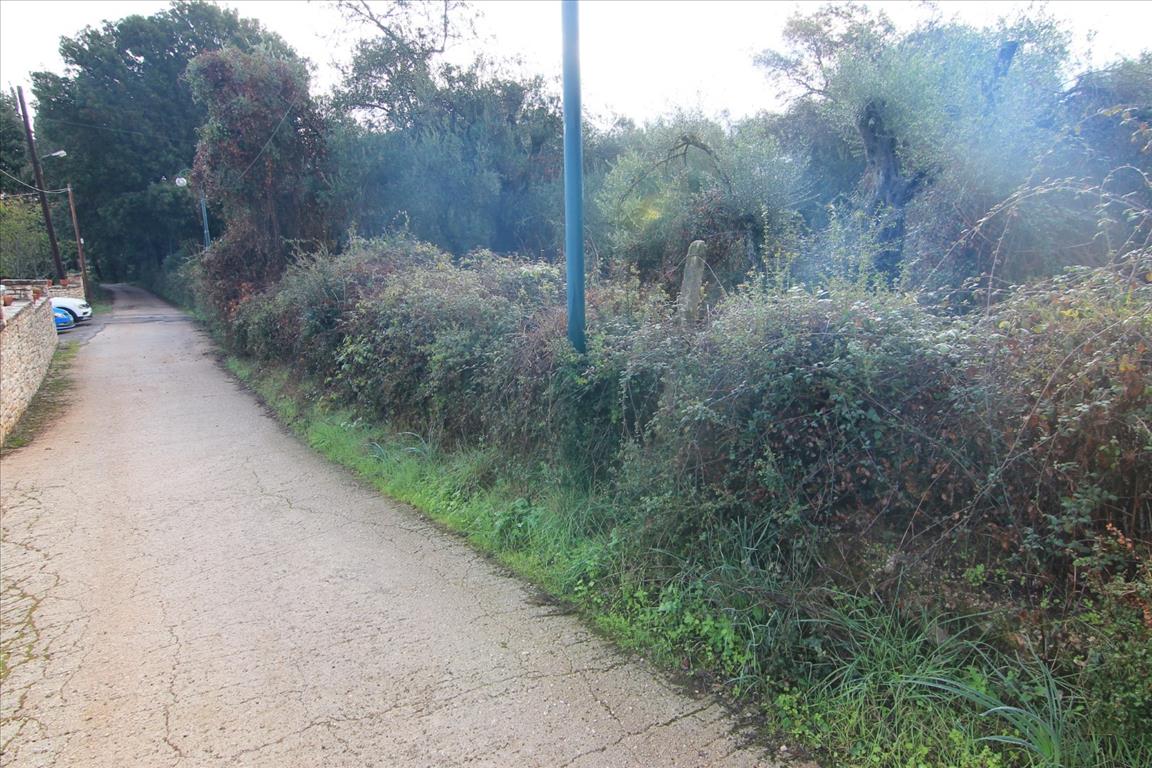 4000m² Hotel in Corfu, Greece No. 5373