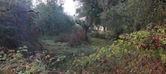 4000m² Hotel in Corfu, Greece No. 5373 2