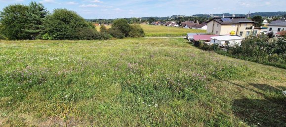 Grundstück in Neudau, Austria, Nr. 232993 5
